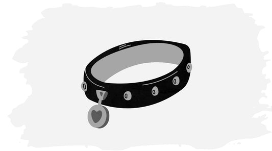 4 Reasons You Should Not Use Dog Collars