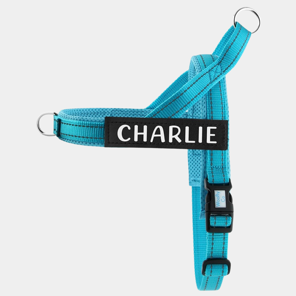 Classic Personalised No-pull Dog Harness +Free Name Patches