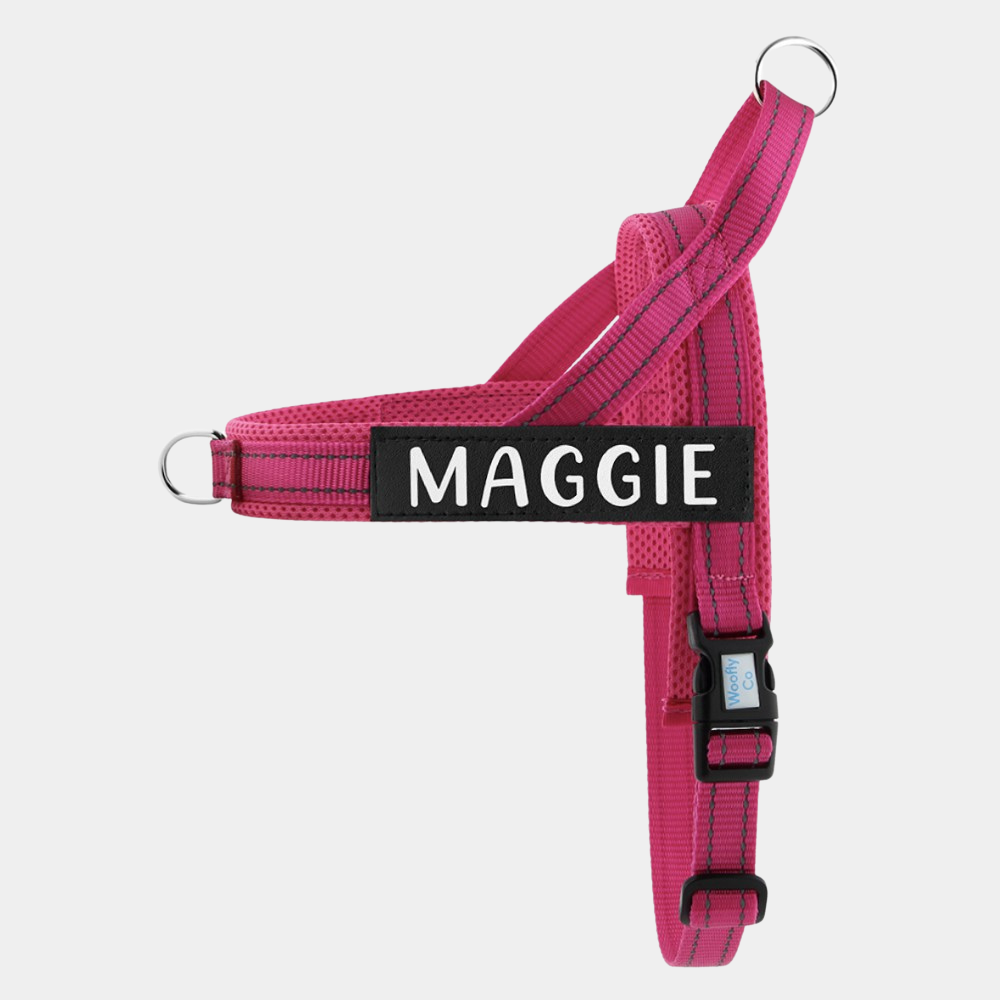 Classic Personalised No-pull Dog Harness +Free Name Patches