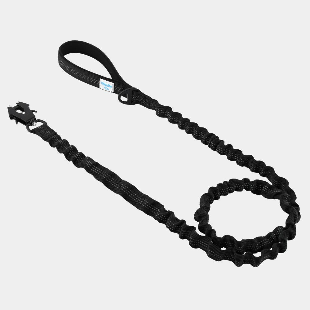 Stretchy Dog leash